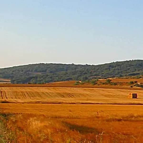 Atapuerca — Spain