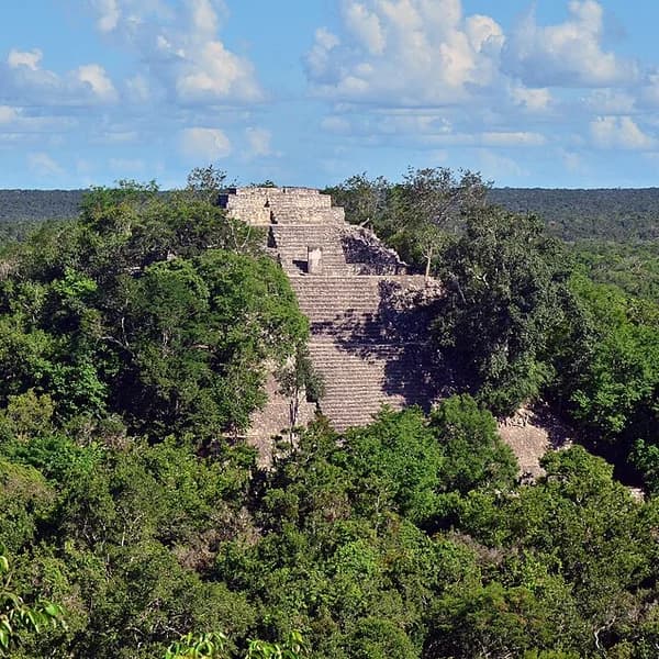 The great pyramids of Calakmul rising above the rainforest, Campeche, Mexico