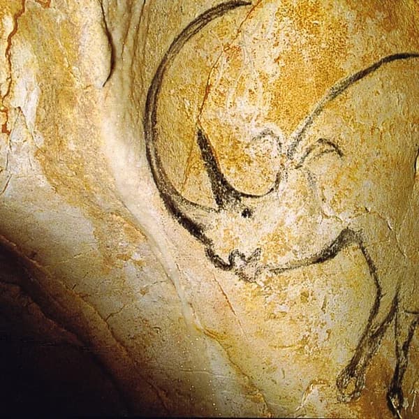 Prehistoric paintings of cave lions on the wall of Chauvet Cave, Ardèche, France, dated to c. 36,000 years ago