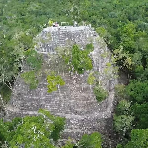 Forested mass of the La Danta pyramid rising above the canopy at El Mirador