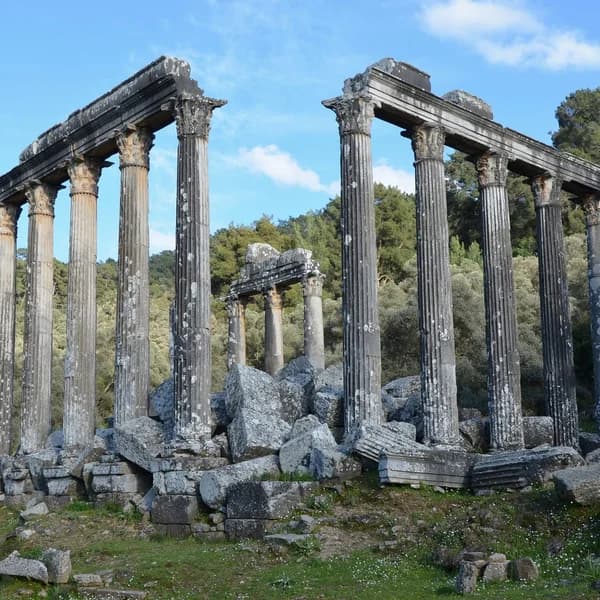 Standing Corinthian columns of the Temple of Zeus at Euromos