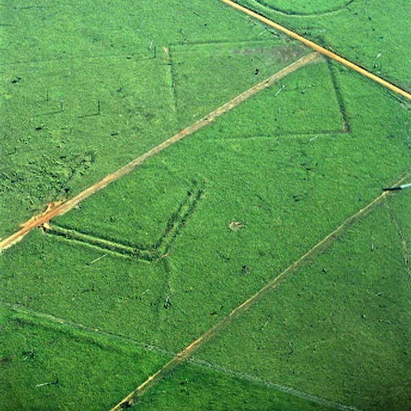 Aerial view of the Fazenda Colorada geometric earthwork in Acre, Brazil