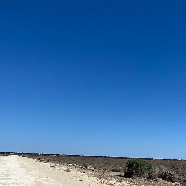 The eroded dune formations known as the Walls of China at Lake Mungo, New South Wales, Australia