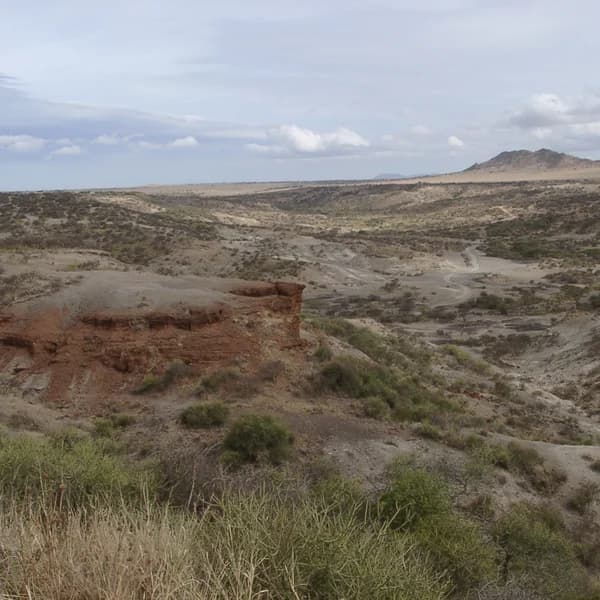 Olduvai Gorge — Tanzania