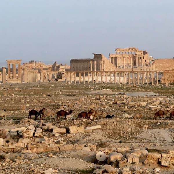 Palmyra — Syria