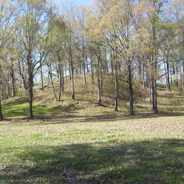 Aerial view of Mound A and the concentric earthen ridges at Poverty Point, Louisiana