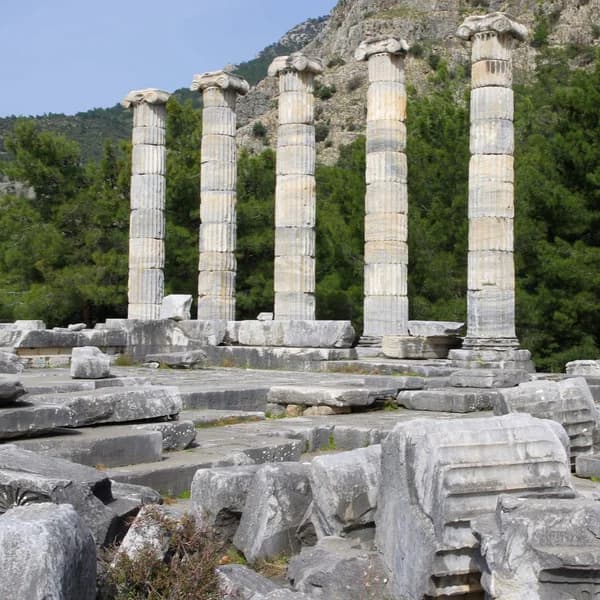 Columns of the Temple of Athena at Priene overlooking the Maeander plain