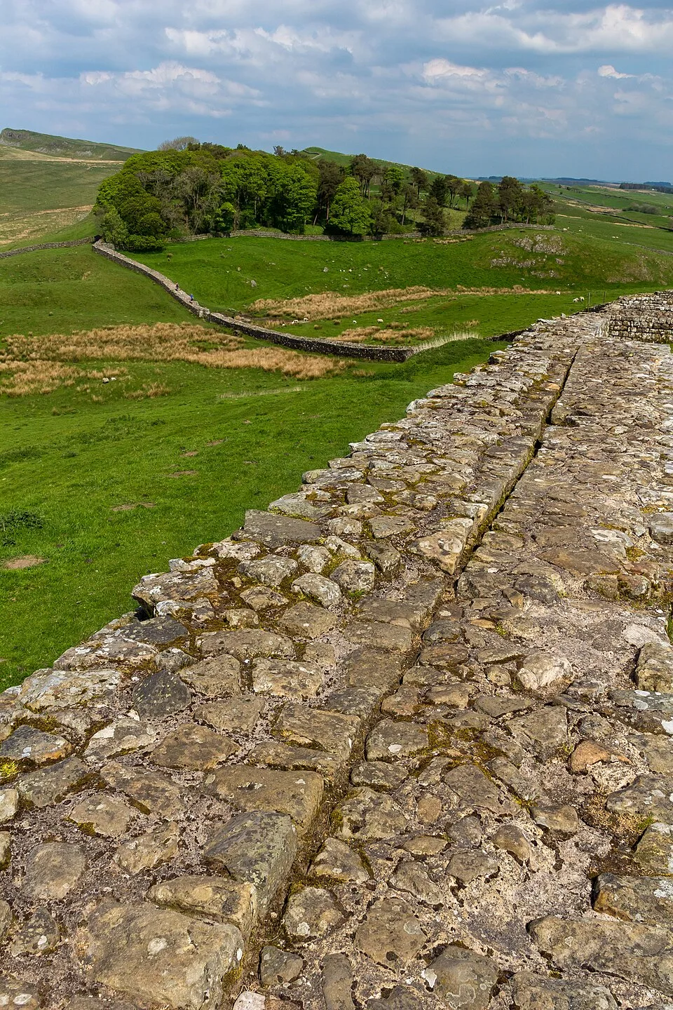 Housesteads Roman Fort 2014 16