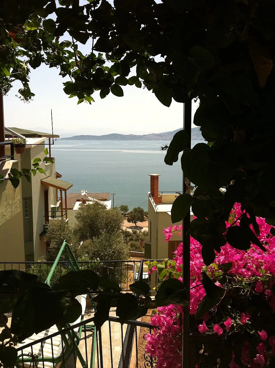 Bingul's House - panoramio