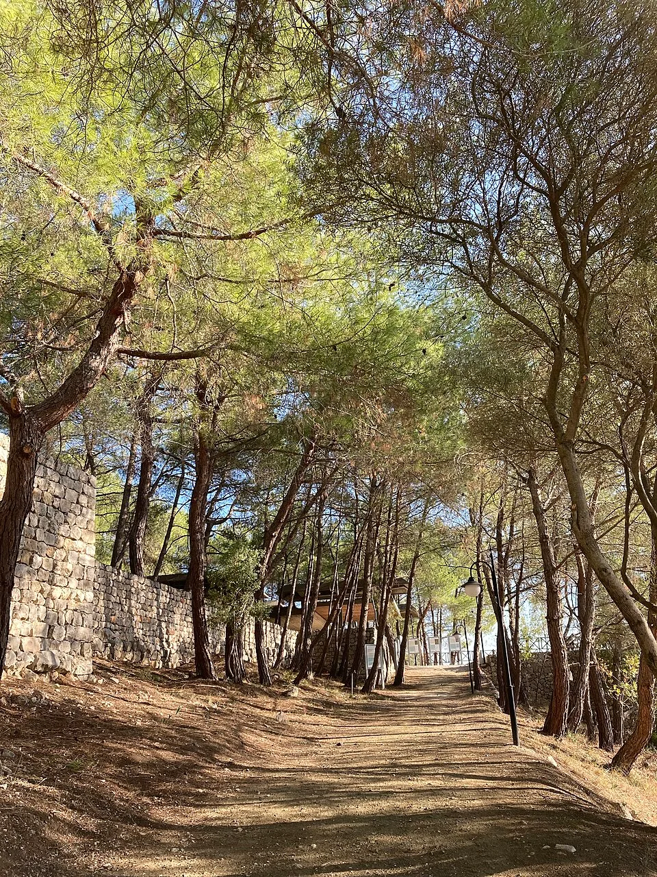 Karatepe-Aslantaş National Park with the trees