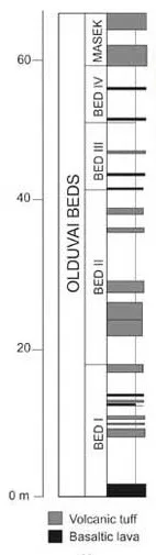 Generalized stratigraphy of Olduvai Gorge - 245-1227-1-PB-C