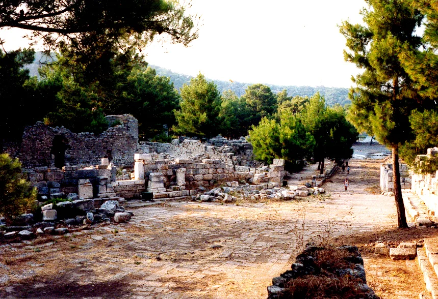 Phaselis axb01