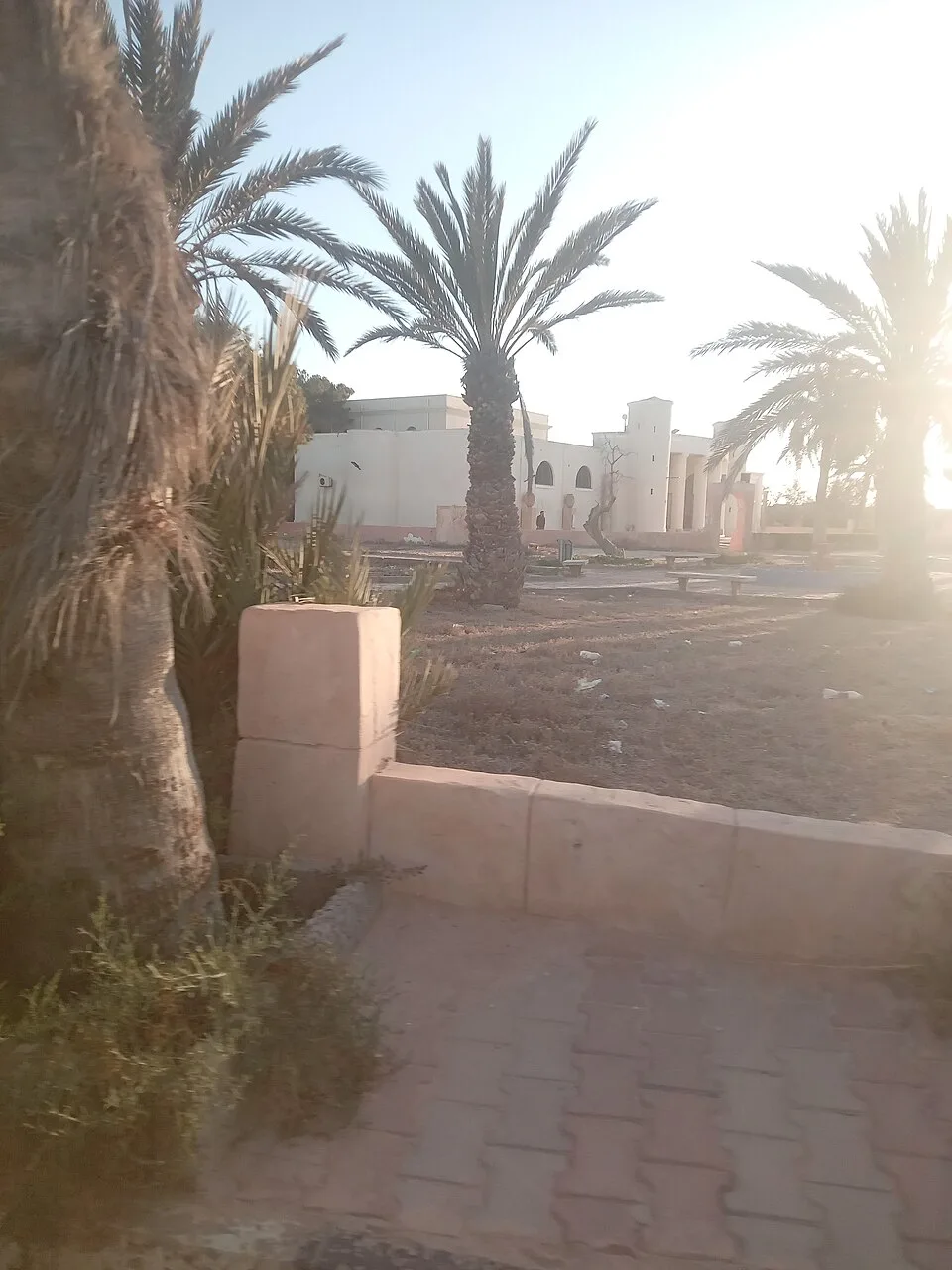 Roman Museum, Sabratha (68372)