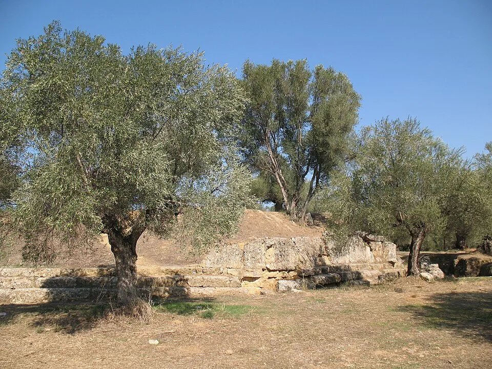 Acropolis of ancient Sparta - panoramio - macrolepis