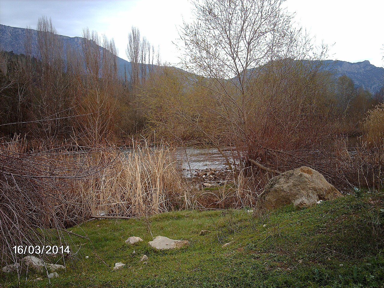 Sakarya Valley landscape near Bilecik, northwestern Türkiye, the river corridor below Gedikkaya Cave. Not a photograph of the cave mouth or the 2026 figurines.