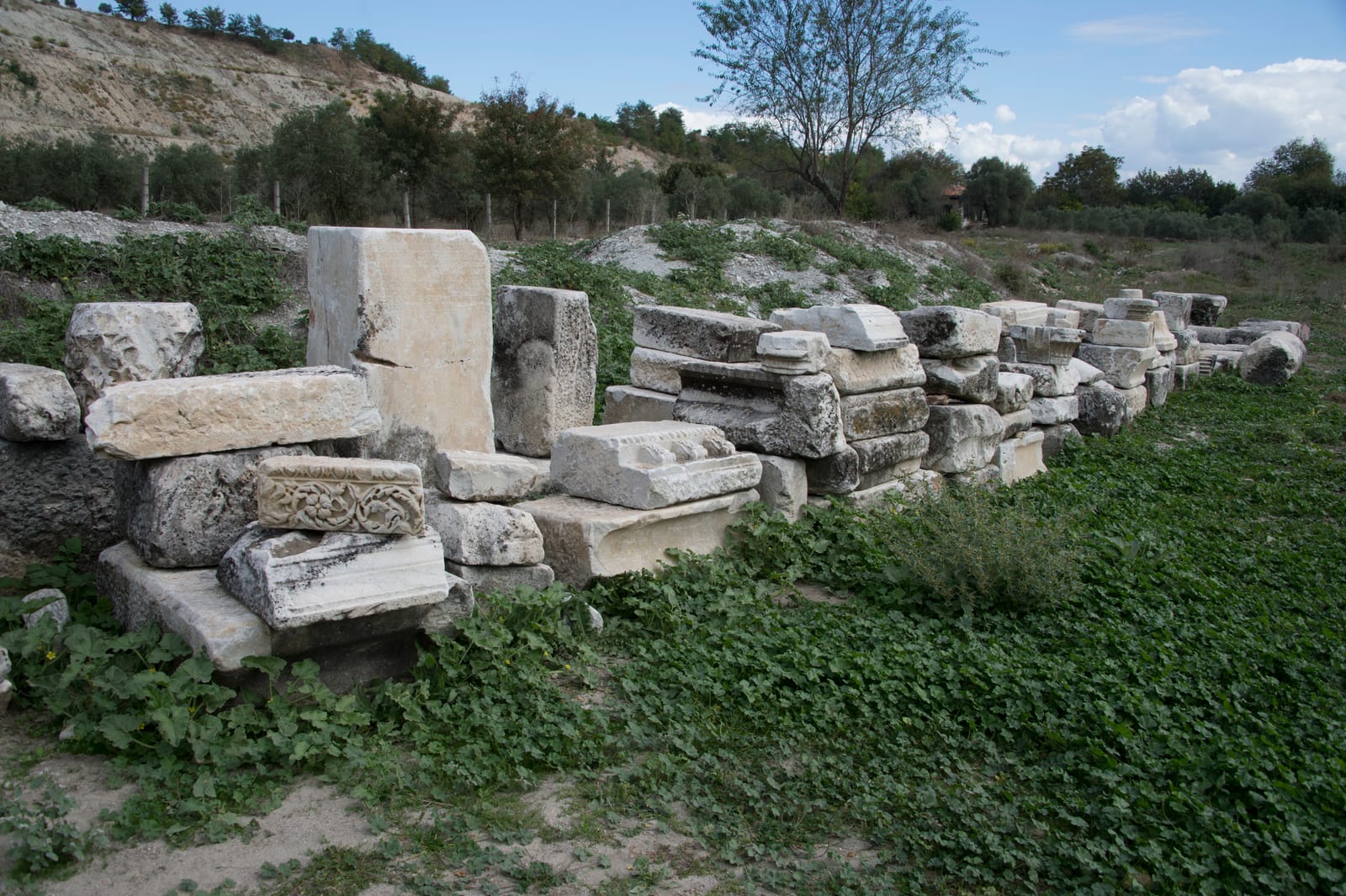 Ancient columns and ruins at Stratonikeia archaeological site