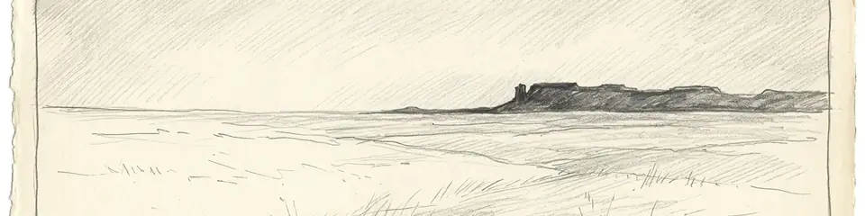 Graphite pencil sketch banner of Kakadu