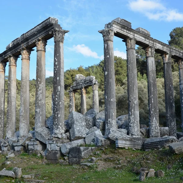 Standing Corinthian columns of the Temple of Zeus at Euromos