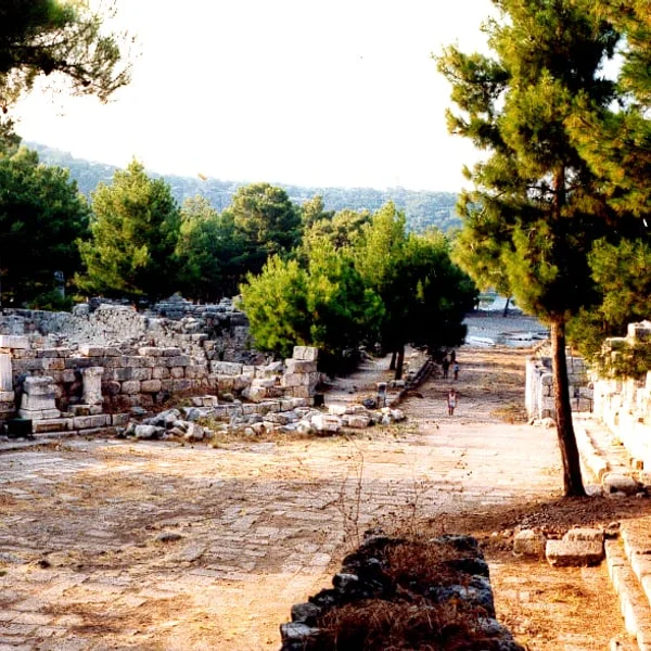 Ancient harbor and ruins of Phaselis with pine trees and Mediterranean Sea